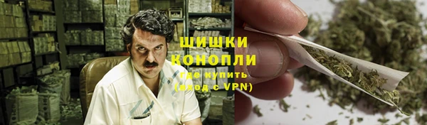 мдпв Елизово