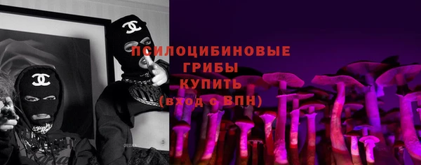 мет Елабуга