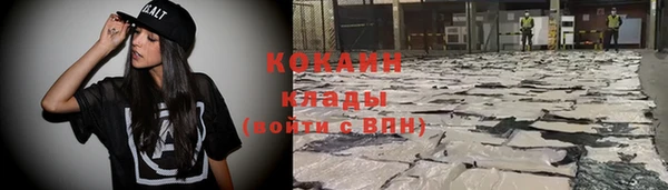 мдпв Елизово