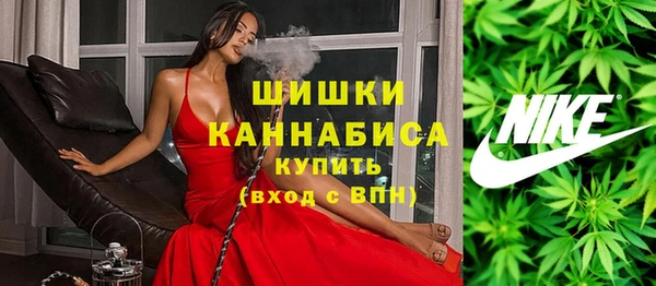 мдпв Елизово