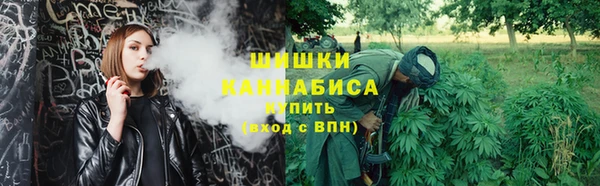 мдпв Елизово