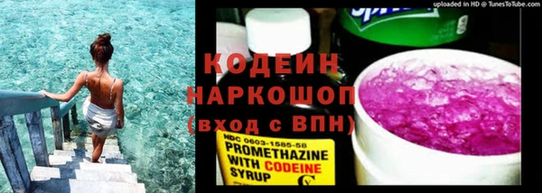 мет Елабуга