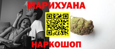альфа пвп Заводоуковск