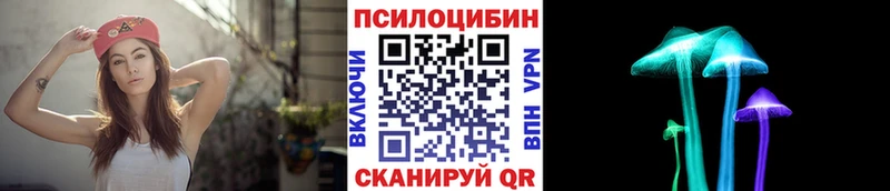 Псилоцибиновые грибы Psilocybine cubensis  Сердобск 